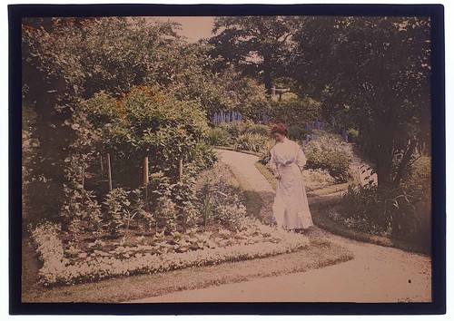 Photographie autochrome femme - ,