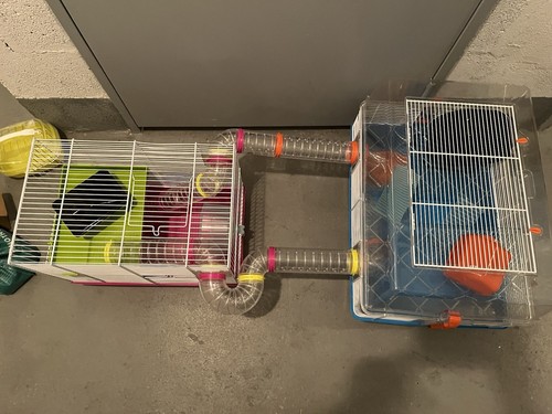 Cage hamster accessoires - cage,