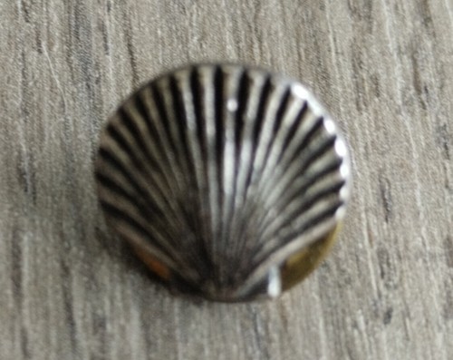 Pin coquille saint - coquille, jacques