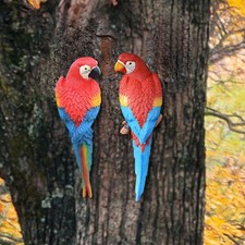 2 pièces Parrot décrivent