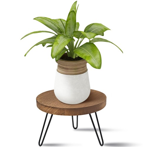 Support plantes bois - de,