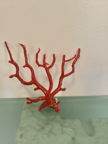Grosse branche corail rouge - de,