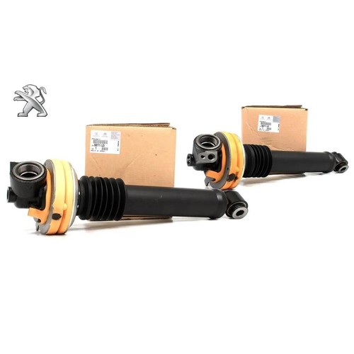 Verins amortisseurs - 2x,
