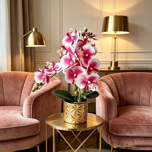 Phalaenopsis fleurs pot - phalaenopsis, en