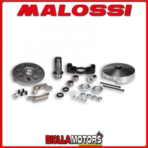 511885 variator malossi - variator,