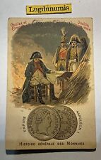 Chromo Empire Napoleon 1st Chocolate Foal N 55