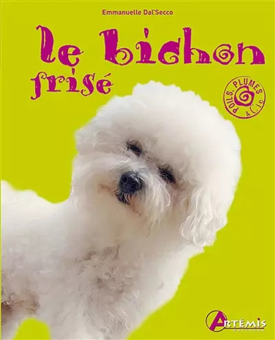 Bichon frisé secco - bichon, frisé,