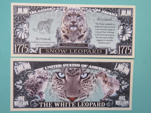 Billets snow leopard des - 4,