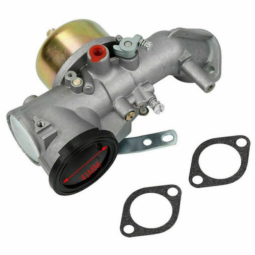 Carburateur pour moteur briggs - carburateur,