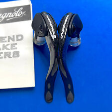 Campagnolo Record Bar End Leve