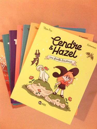 Lot jeunesse cendre - 7,