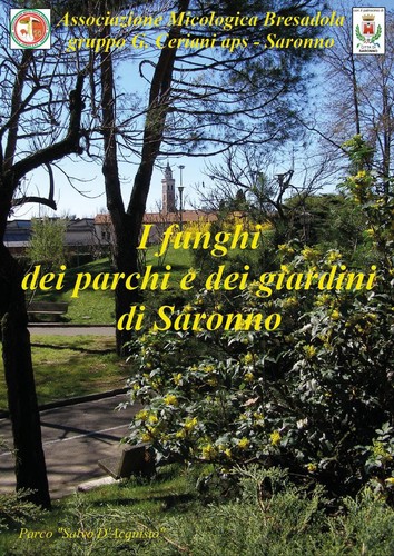 Gruppo g ceriani - gruppo, aps
