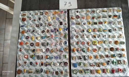 Collections 200 fèves - collections,