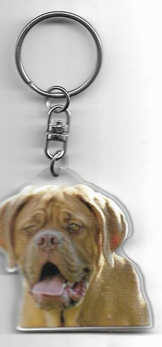 Dogue bordeaux porte clés - dogue,