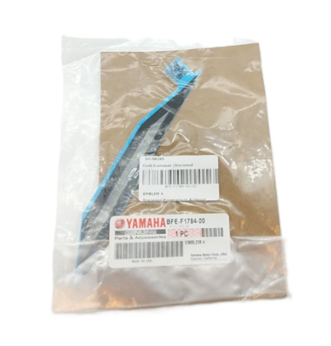 2021 2024 yamaha grizzly - 2021-2024,