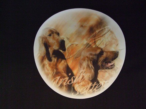 Tapis souris setter - tapis,