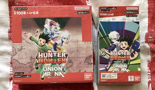 Hunter union - hunter, x