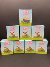 Authentic Pokemon Lawn Series