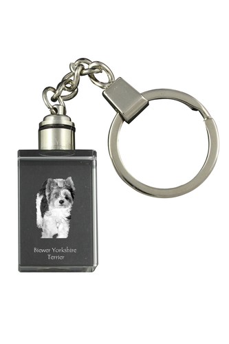 Biewer yorkshire terrier - yorkshire,