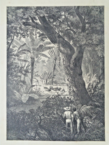 Grande gravure ancienne sur - ancienne,
