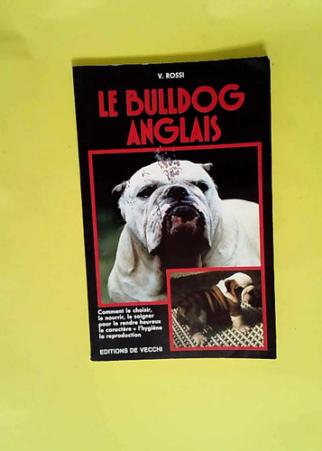 Bulldog anglais - bulldog,