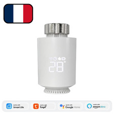 Thermostat radiateur chauffage