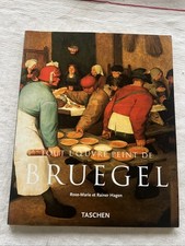 Livre Art Peinture Pieter