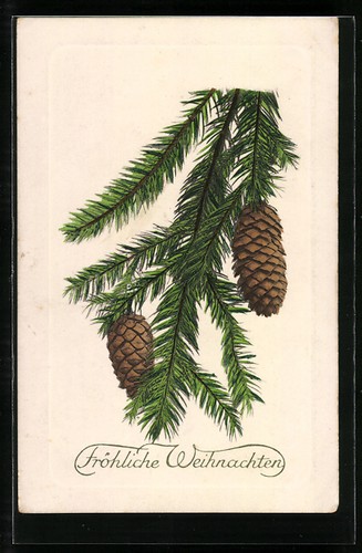 Branche sapin vert avec - branche,