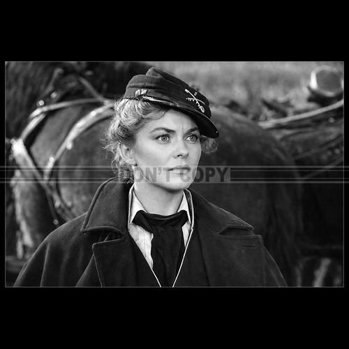 Photo 033337 joanne - photo,