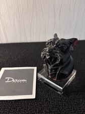 Tête de chien Yorkshire en