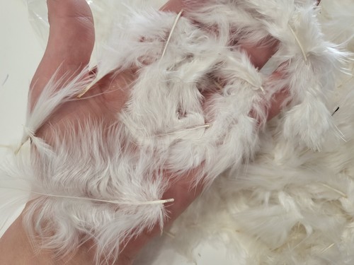 Gros lot plumes vintage - lot, de