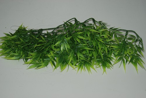 Vivarium réaliste plastique - vivarium,