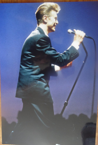 David bowie photos 20x30cm - ,
