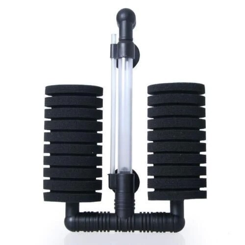 Large double head bio - large,