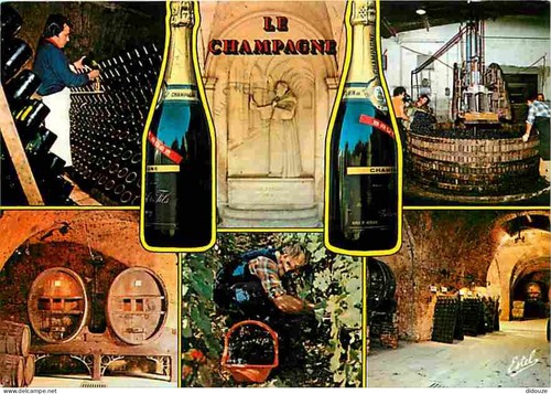 Carte postale vignes - carte,