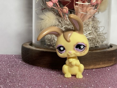 Petshop lapin garenne - 🌸,