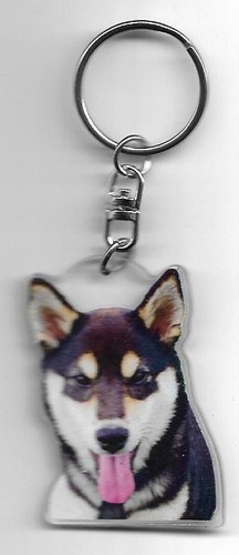 Shiba inu chien porte - chien, cles