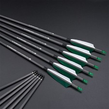 31" flèches de chasse au