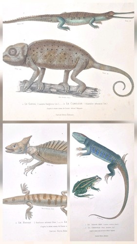 Gravures ancienne originale - , 3