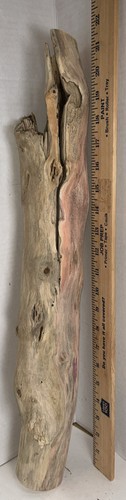 Driftwood pretty colors - driftwood,