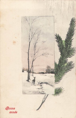 Illustree cadre biche - cp,