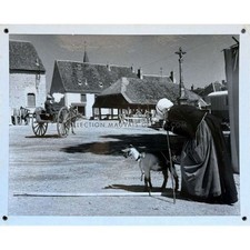 JOUR DE FETE Photo de film N03 - 27x33 cm. - 1949/R1960 - Jacques Tati, Paul Fra