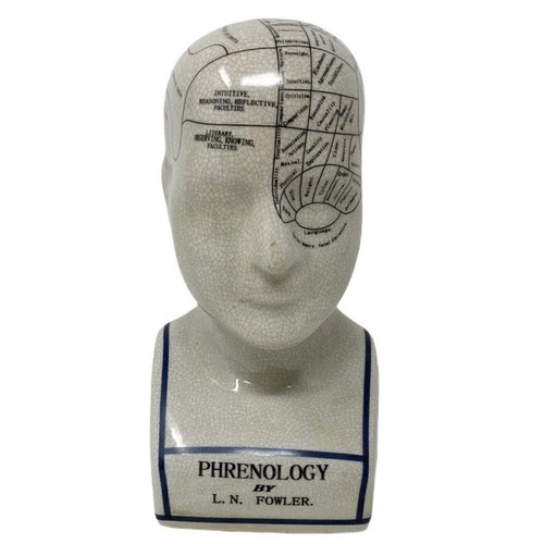 Phrenology head l n - phrenology, head 9"