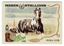 Irish Cob Horse 2019 Topps Allen & Ginter Mares & Stallions #MS-13 NM/MT