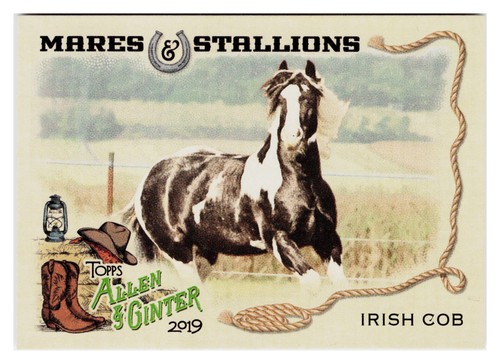 Irish cob horse 2019 topps - 2019,