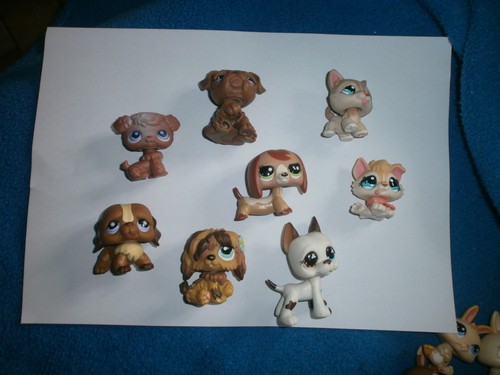 Lot lps littlest pet shop - lot, 8