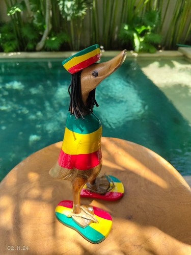Canard bois - en,