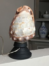 Lampe veilleuse coquillage gravé Vesuve