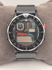 Citizen Windsurf  (Windsurfing), D060-086970-TA Quartz Mens Wristwatch 