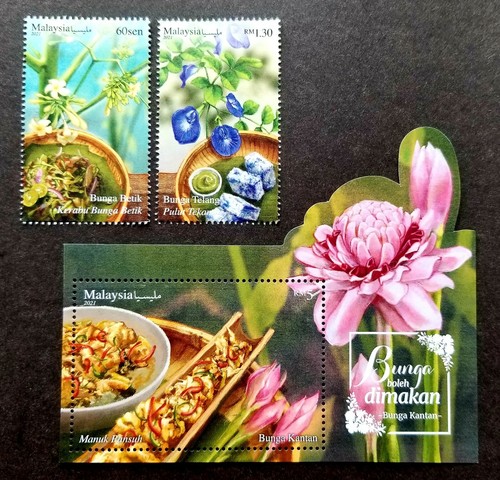 Malaisie fleur comestible - malaisie, 2021
